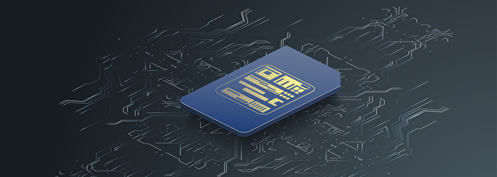 au回線の格安SIMを選ぶ基準