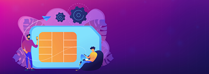 au回線の格安SIMに乗り換える手順